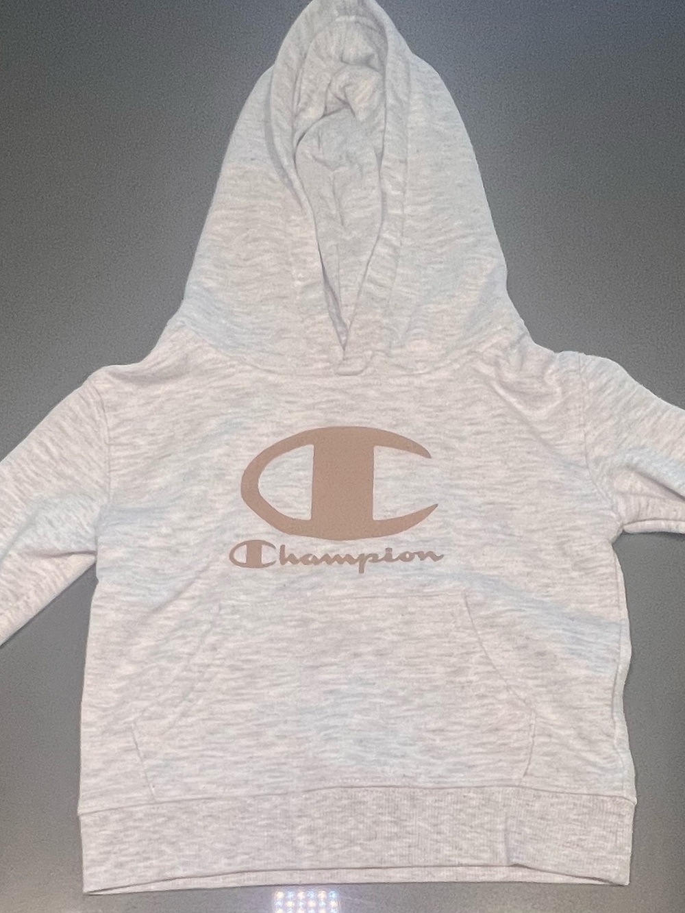 Champion Light Gray Kids Hoodie with Tan Logo